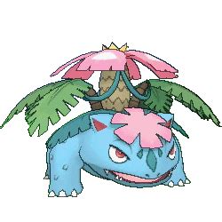 mega venusaur smogon|pokemon venusaur smogon.